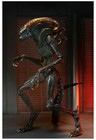 Foto 11 di 14