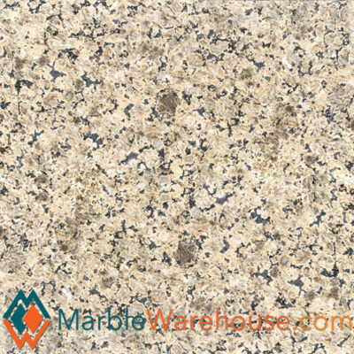 Venetian Gold Polished Granite Tile 12''x12'' + Free Shipping