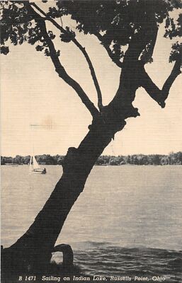 H7/ Russells Point Ohio Postcard Linen Sail Boat Tree Sailing 3