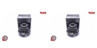 Esen SKV 2X Radnabe Radlagersatz Hinterachse FüR Lexus LS F4 UVF4 USF4