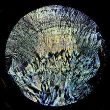  on The Hot Collector