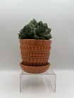 McCoy Pottery Planter W Saucer Vintage Flower Pot Rust Orange Beaded Design