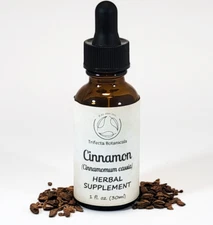 CINNAMON Herbal Supplement / Liquid Extract Tincture / Cinnamomum cassia Bark