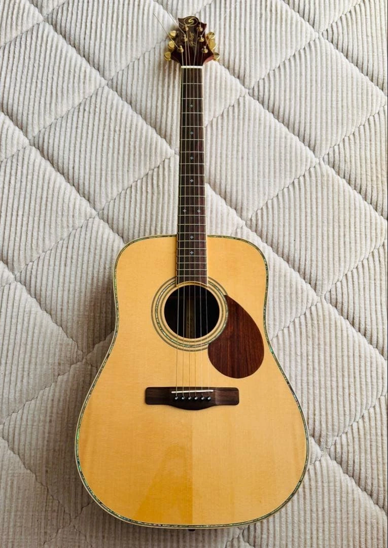 Greg Bennett Guitar In Acoustic Guitars for sale | eBay