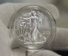 2015 (W) Burnished US Silver Eagle $1 Nice Unc