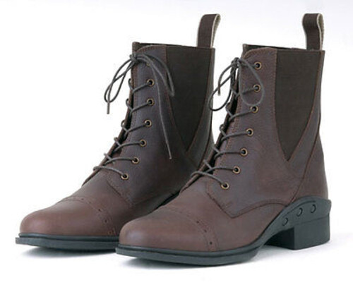Rhinegold Elite Indiana Leather Lace up 