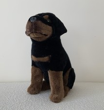 Large Black And Brown Dog Teddy