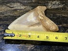 LARGE Heavy Replica Megalodon Shark Tooth 6” Cool Art Ad Or Display Potential — photo 1