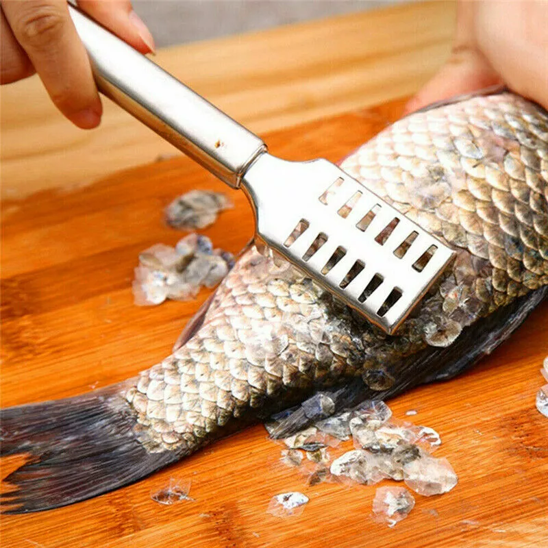 Stainless Steel Fish Scale Remover Cleaner Scaler Descaler Tool Kitchen Gadget