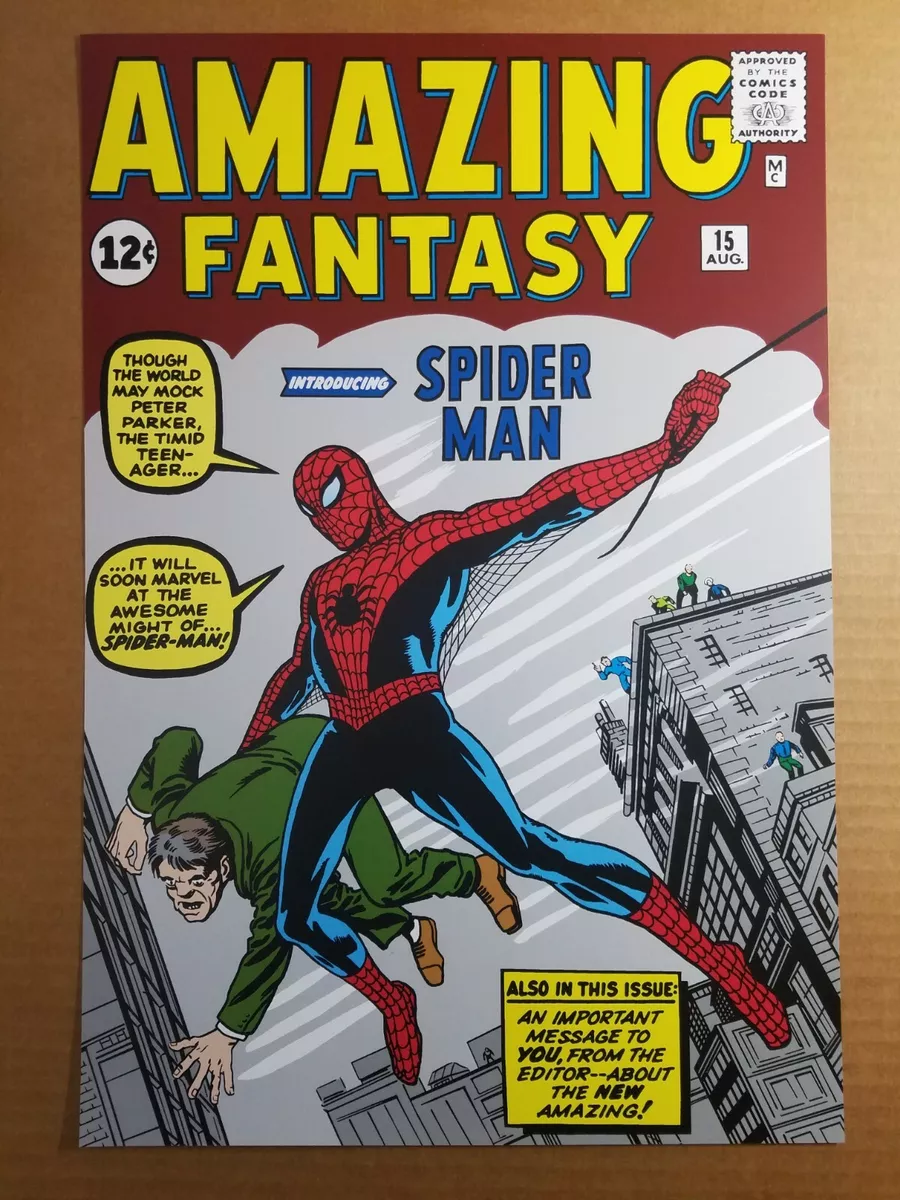 Amazing Fantasy 15 Spider-Man Marvel Comics Poster by Steve Ditko | eBay