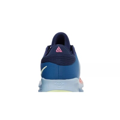 Nike Zoom Freak EP NRG 'Unknown' Low-Top Basketball shoes DO9678