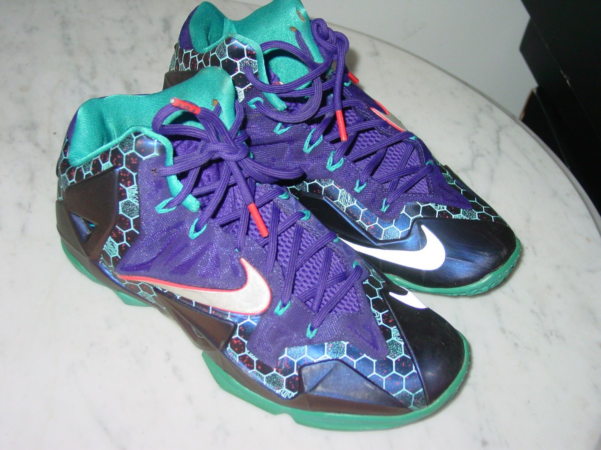 Lebron 11 Hornets On Feet