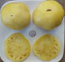 Great White - Non-Acidic  +25 Fresh Seeds - Buy any 3 or more items, 10% off!