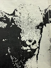 1989 THE RAID THAT’S THE LAW DEMO HARDLINE HARDCORE CASSETTE TENNESSEE