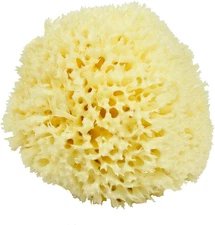 Sea Wool Sponge - All Natural Honeycomb Renewable Sea Sponge, Large, Approx. 5 I