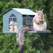 Erva Food Pantry Squirrel Feeder SQF1G