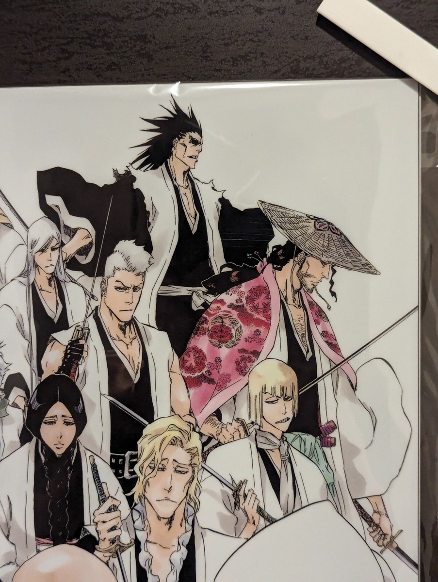 NEW Original Clear File A3 The Gotei 13 BLEACH Exhibition Japan