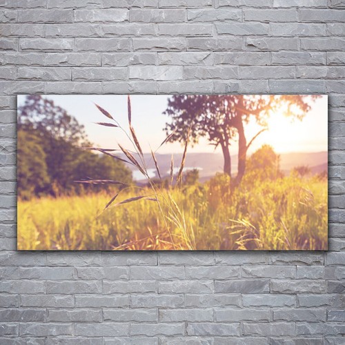 Tulup Image sur verre Tableau Impression 100x50 Herbe