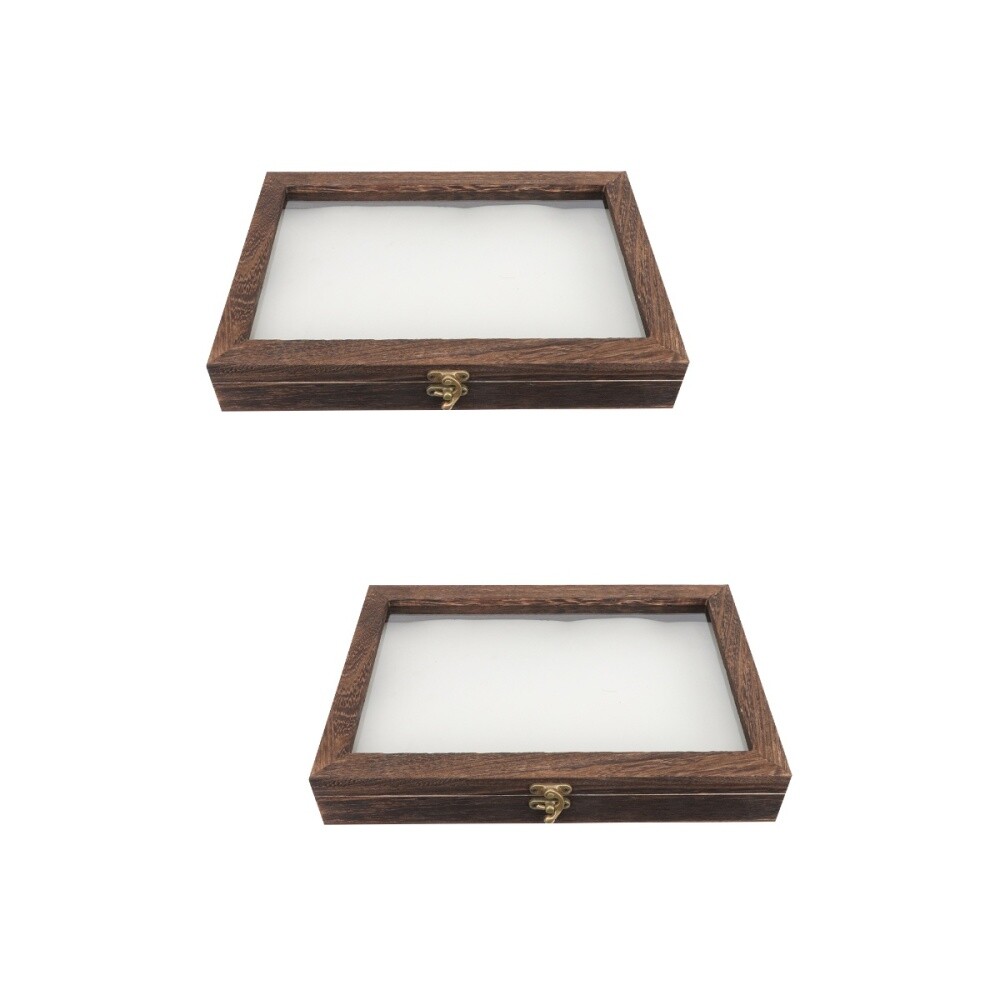 showcase for specimen display Storage Box Wooden Specimen Box Specimen Display eBay