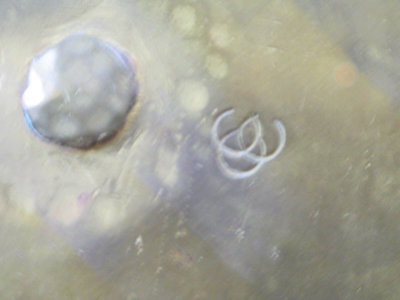 VINTAGE BRASS CANDLE HOLDER eBay