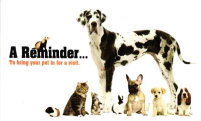 Arapahoe Veterinary Clinic Wichita Kansas Postcard