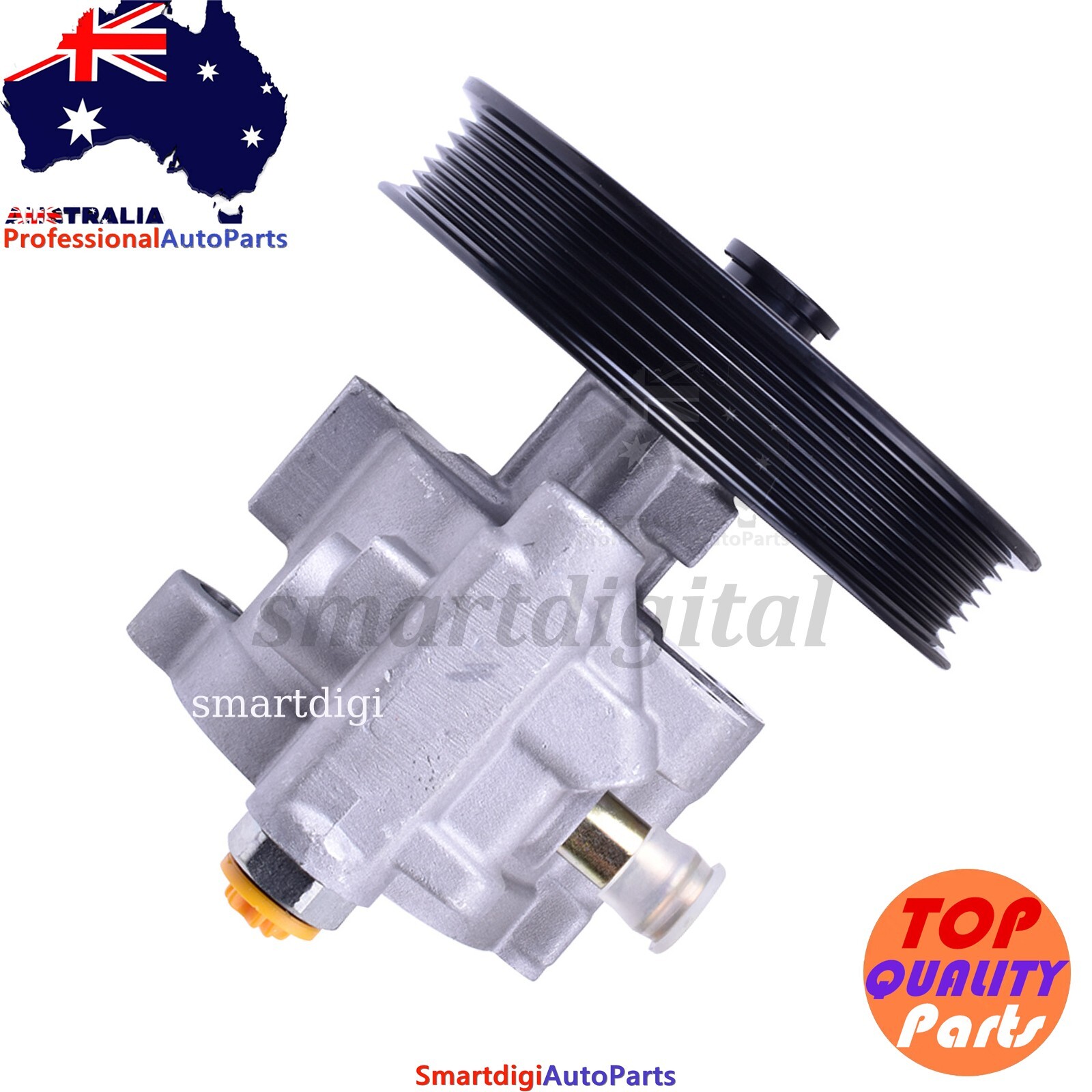 Power Steering Pump For Holden Commodore VT VX VY VU WH WK V8 5.7L LS1 ...