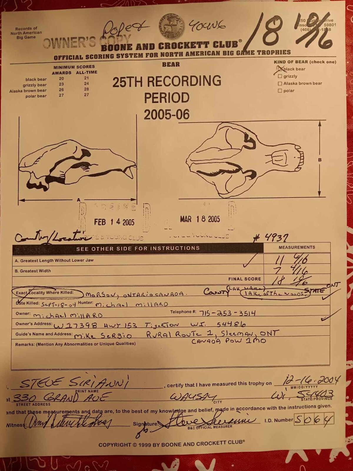 Big Game Record black bear mount eBay