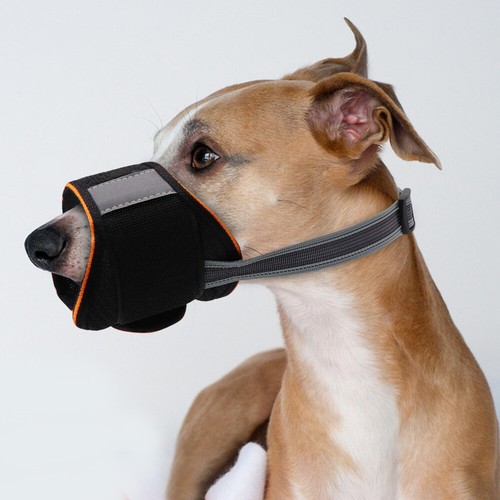 Silikon Hundemaulkorb Entenform - Anti-Biss & Bellen Mit Sicherheitsverschluss Für Alle Hundegrößen