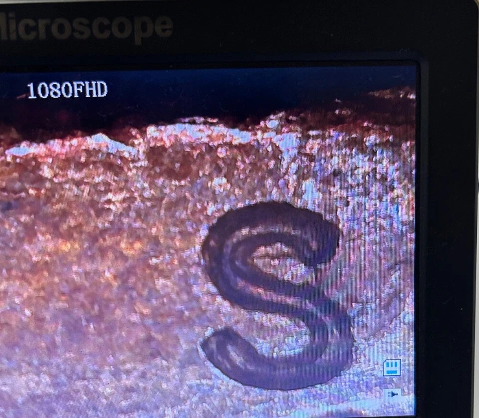 2008 D Martin Van Buren No Stars!!!  Doubled die edged letters Error Dollar Coin - Image 4 of 4