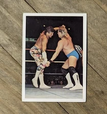 1988 Wonderama NWA Tim Horner Vs Chris ChampionCard #121 RARE