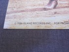  The Long Ryders 1986 State Of Our Union 12x12 Promo 2-Sided Cover Flat Poster  — photo 3