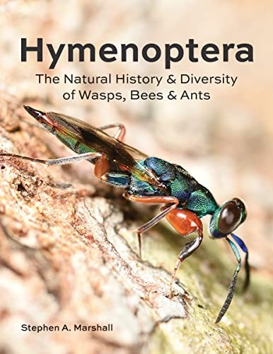 Hymenoptera : The Natural History and Diversity of Wasps, Bees and Ants by ... - Image 7
