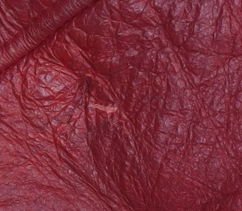 Walter Darrucci Women's Red Biker Jacket 2XS - Image 4 of 4