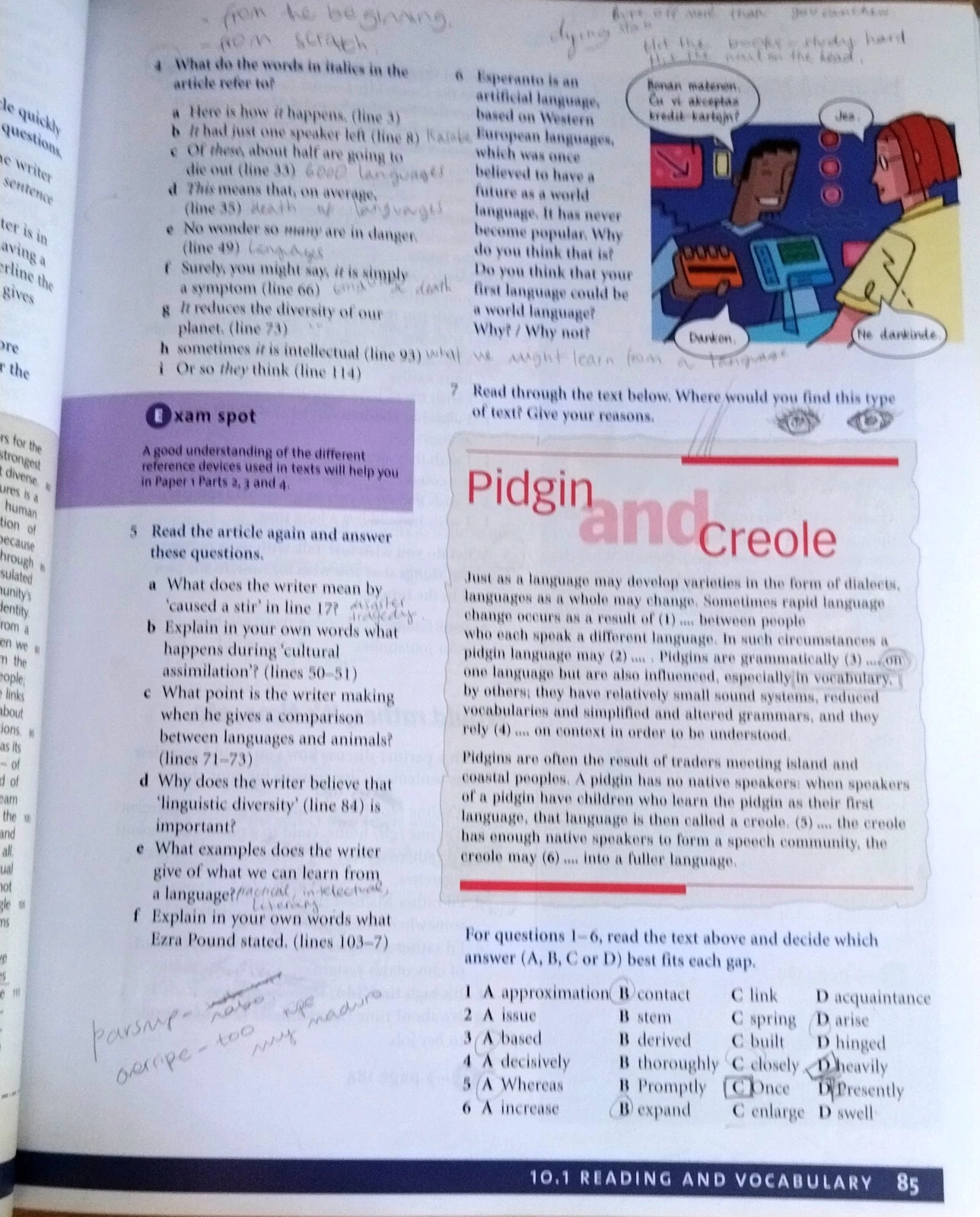 Imagen 6 de 6