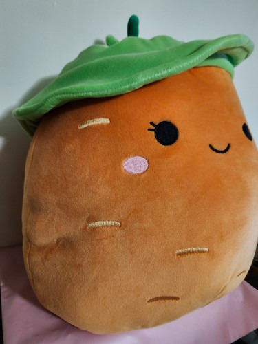 Official Squishmallow 14” 2024 Caroleena The Carrot New w/Tag- 32" ROUND - Picture 3 of 6