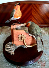 Border Fine Arts Two Robins with a Nest in a Drawer