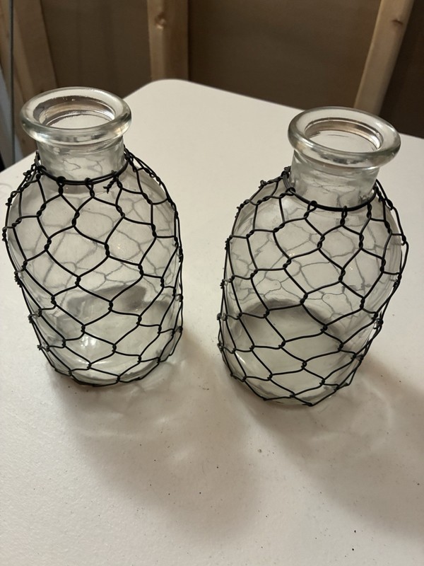Set of 2 Clear Glass Decorative Bottles w/ Black Metal Wire Mesh, Industrial
