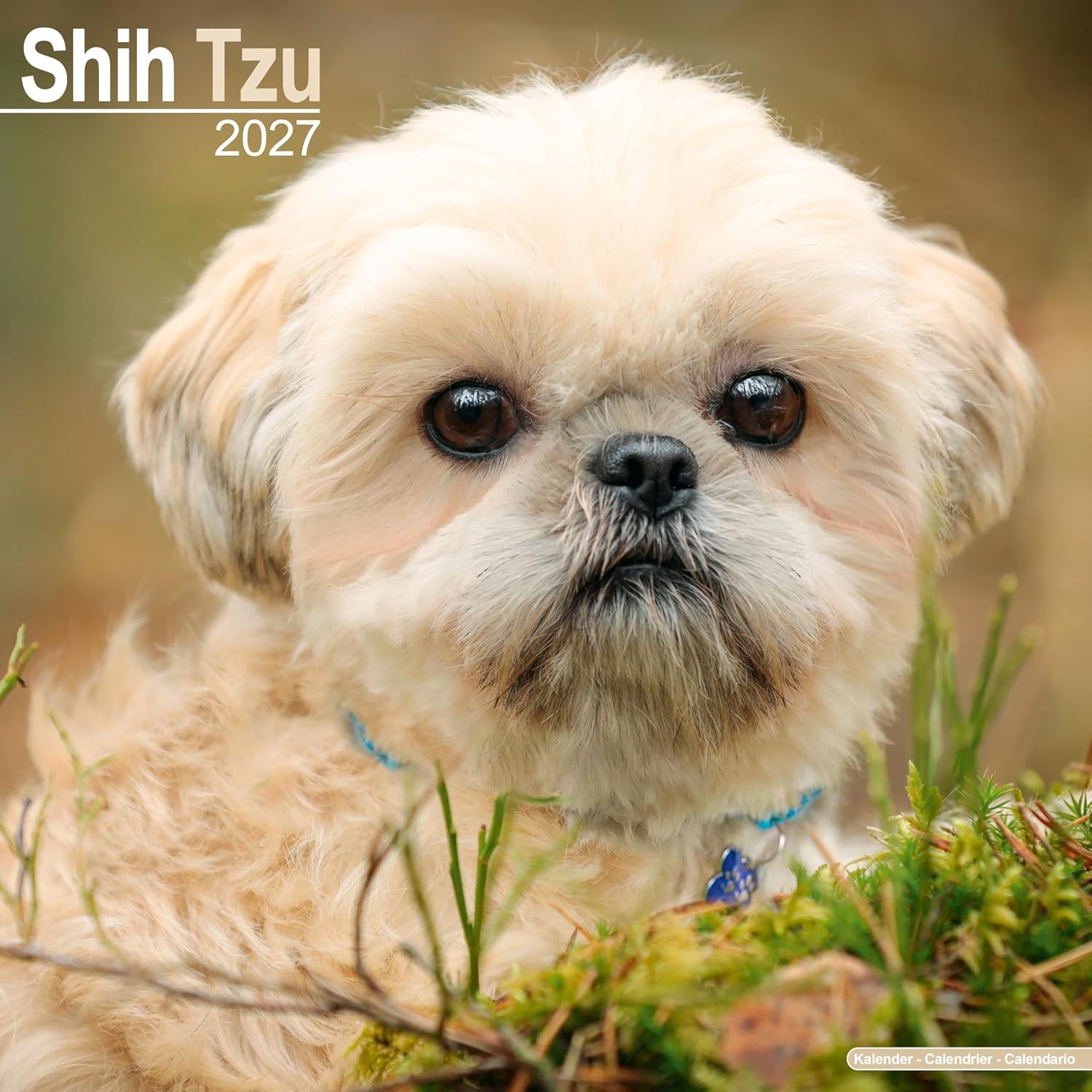 Shih Tzu Calendar 2027, Wall Calendars, Month To View, Dogs, Gift - Image 5