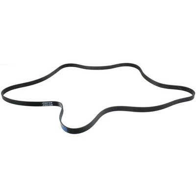 5060950 Dayco Drive Belt for Chevy Olds Express Van SaVana Avalanche Suburban