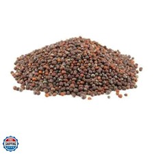 Non-GMO Broccoli Seeds for Sprouting Sprouts Microgreens 4 oz of Pure Seed. ....