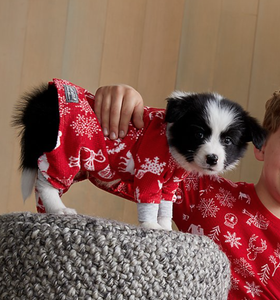 eddie bauer dog clothes