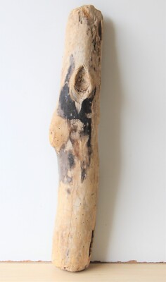 Treibholz Schwemmholz Driftwood  1 XL Stamm Dekoration Basteln  72 cm