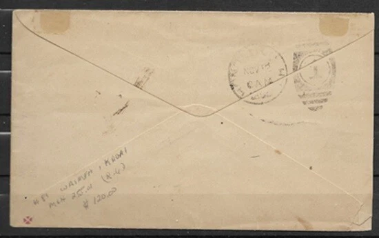 HAWAII 1899 en FUNDA a XAUAL FVF VER FOTOS Foto 2 de 2