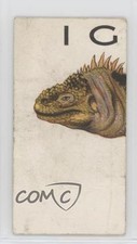 1934 Wills Animalloys Tobacco Ig (Iguana) #16 0f3j