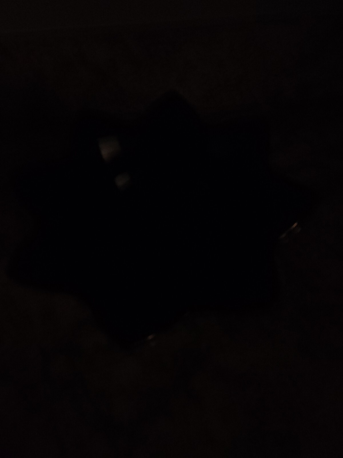 Picture 5 of 9