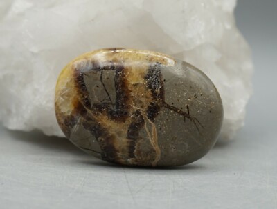 SEPTARIE Septarien  Seifenstein Scheibenstein 49 x 34 mm Handschmeichler e11