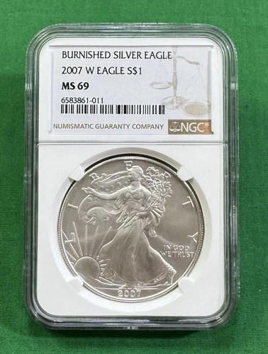 2007-W Burnished Silver Eagle NGC MS69 Brown Label