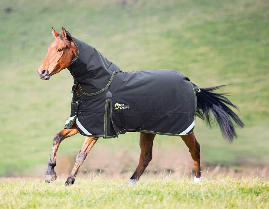 Shires StormCheeta wasserdichte schwere Weidedecke & Hals Set für Pferd 300g