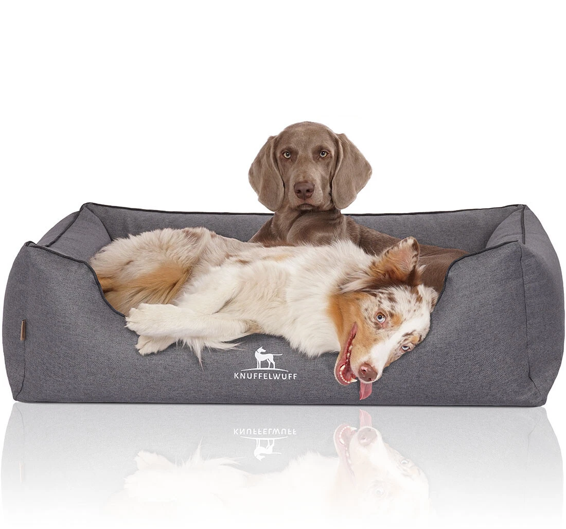 Knuffelwuff orthopaedic dog clearance bed