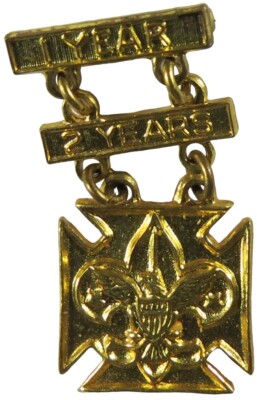 2 Years Pin 1 Year and 2 Years pin Boy Scout Hat Pin (PIN-4439) | eBay